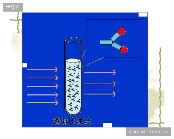 体育赛事运营从单向版权分发转向全生命周期积分联动管理